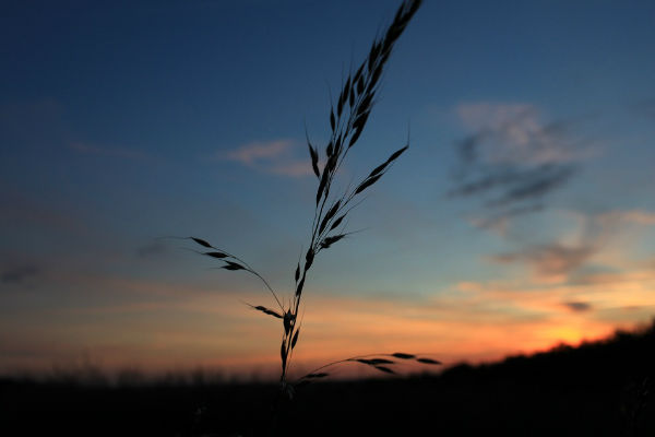 couché de soleil