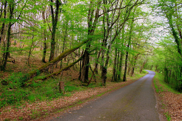 la nature à l`état brut