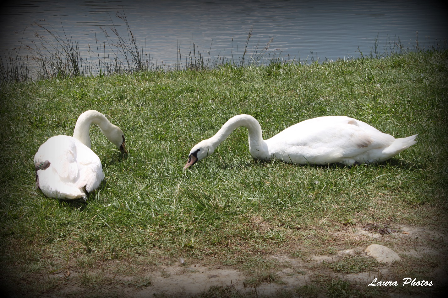 Parc Odyssud Blagnac